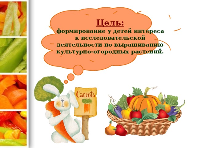 Цель:  формирование у детей интереса к исследовательской деятельности по выращиванию культурно-огородных растений.