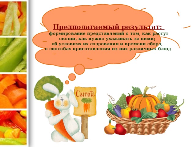 Предполагаемый результат:   формирование представлений о том, как растут овощи, как нужно ухаживать за ними;  об условиях их созревания и времени сбора;  о способах приготовления из них различных блюд
