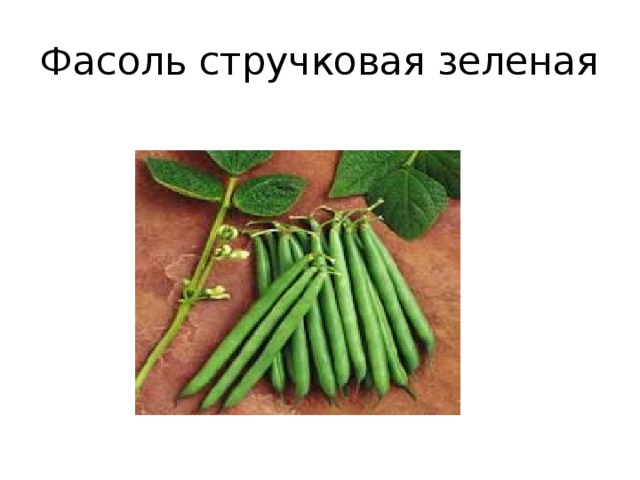 Фасоль стручковая зеленая