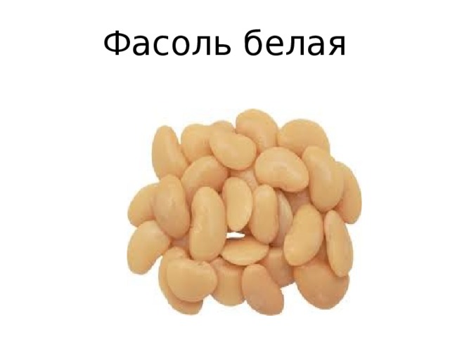 Фасоль белая