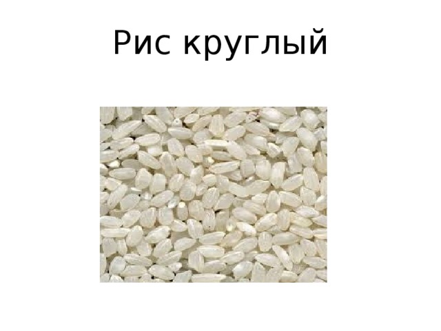 Рис круглый