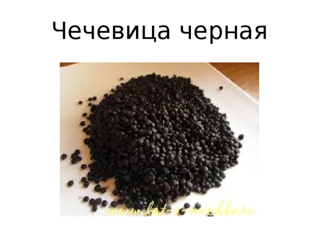 Чечевица черная