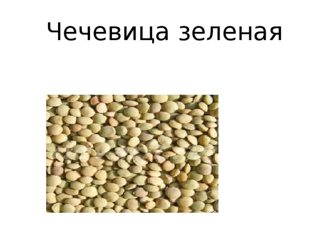 Чечевица зеленая