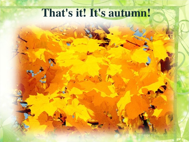 That's it! It's autumn!