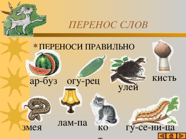 Перенос слова улей