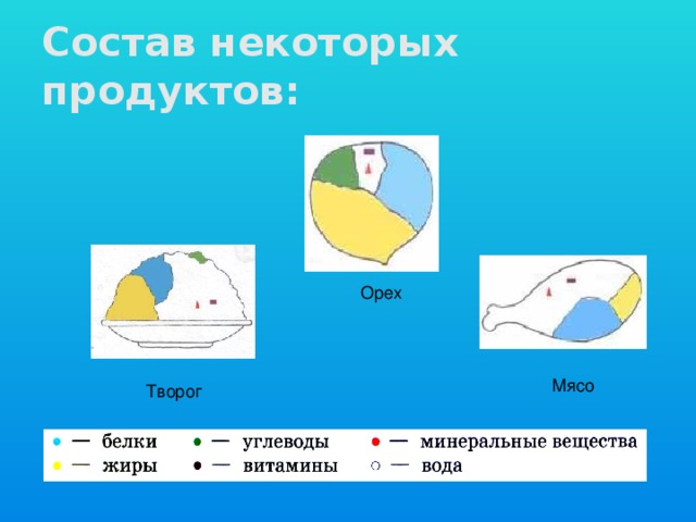 Состав некоторых продуктов: Орех Мясо Творог