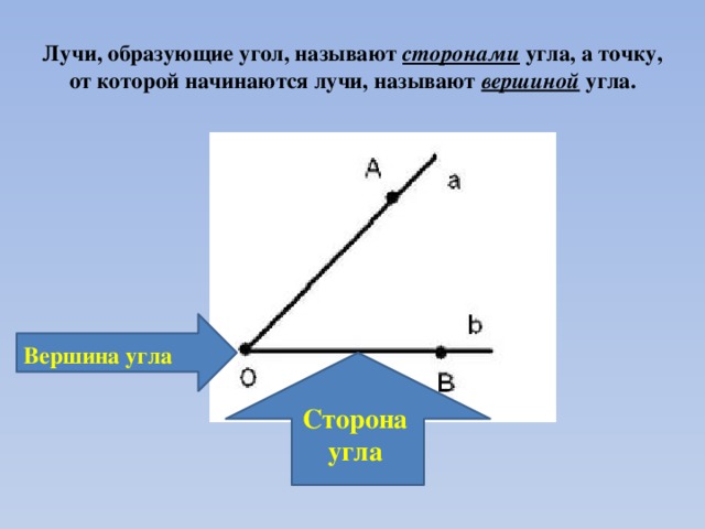 Лучи, образующие угол, называют сторонами угла, а точку, от которой начинаются лучи, называют вершиной угла. Вершина угла Сторона угла