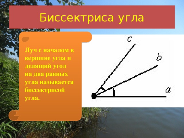 Биссектриса угла Луч с началом в вершине угла и делящий угол на два равных угла называется биссектрисой угла.