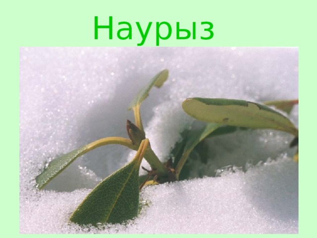 Наурыз