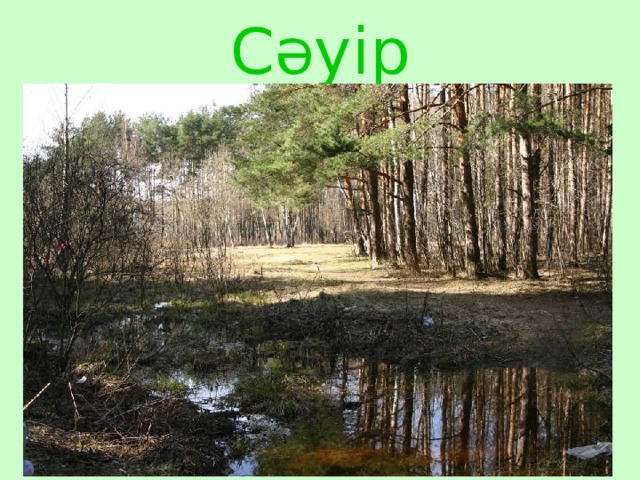 Сәуір