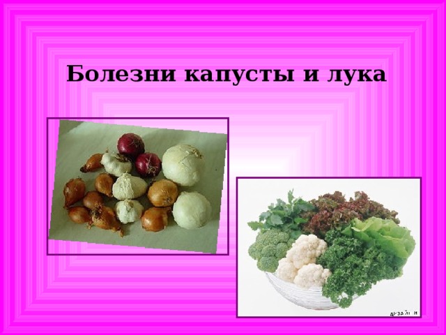 Болезни капусты и лука