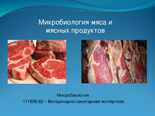 Микробиология мяса и мясных продуктов Микробиология 111900.62 – Ветеринарно-санитарная экспертиза