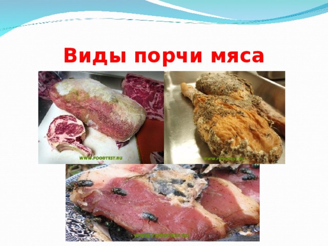 Виды порчи мяса