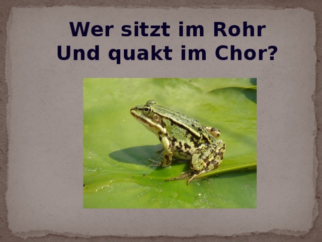 Wer sitzt im Rohr Und quakt im Chor?