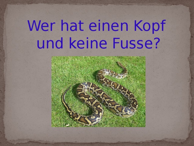 Wer hat einen Kopf und keine Fusse?