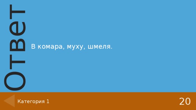 В комара, муху, шмеля. 20 Категория 1