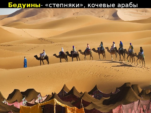 Бедуины - «степняки», кочевые арабы
