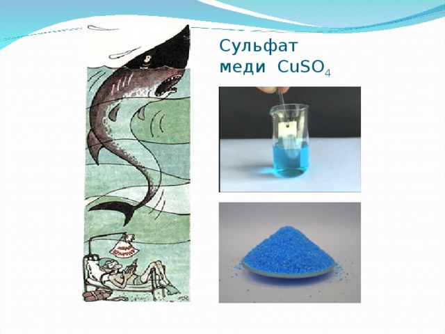 Сульфат меди CuSO 4
