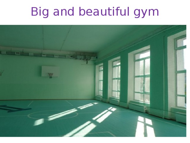 Big and beautiful gym