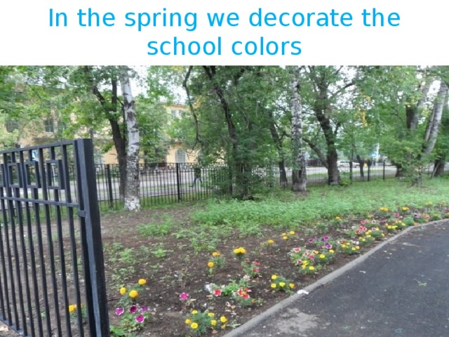 In the spring we decorate the school colors