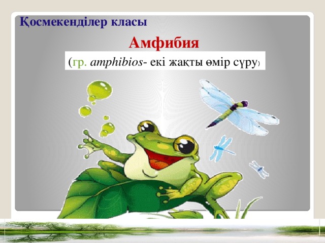 Қосмекенділер класы Амфибия ( гр.  amphibios - екі жақты өмір сүру )