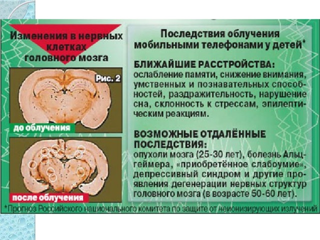 Причем, детский мозг поглощает на 50-70% больше энергии излучения мобильного телефона из-за меньших размеров черепной коробки. Детский организм обладает большей чувствительностью к электромагнитному полю, чем взрослый.