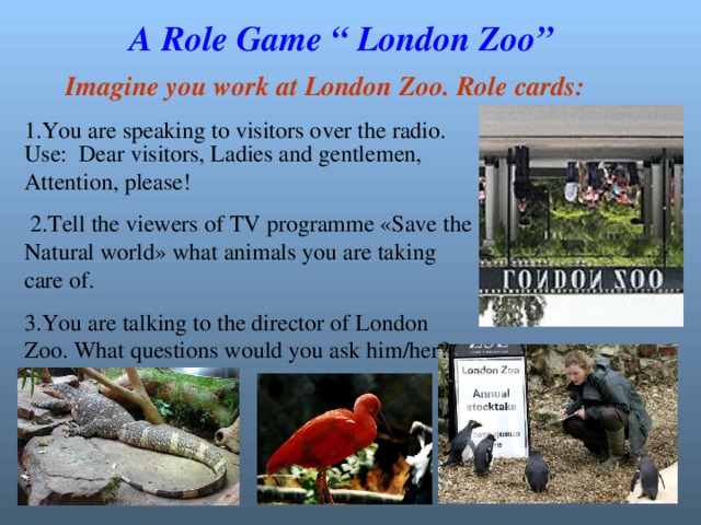 A Role Game “ London Zoo”   Imagine you work at London Zoo. Role cards: 1.You are speaking to visitors over the radio.  Use: Dear visitors, Ladies and gentlemen, Attention, please!  2.Tell the viewers of TV programme «Save the Natural world» what animals you are taking care of. 3.You are talking to the director of London Zoo. What questions would you ask him/her?