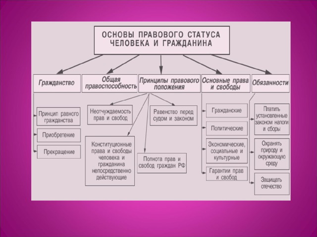 Конституционно правовой статус человека и гражданина план