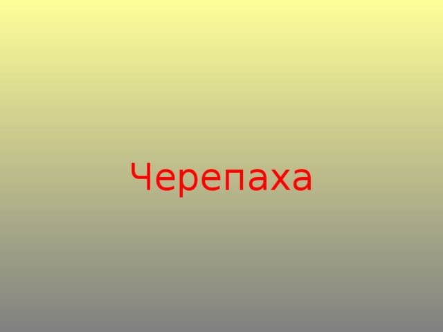 Черепаха