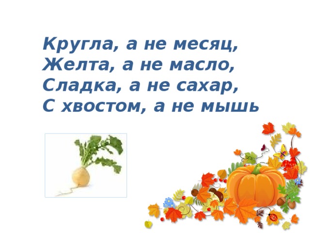 Кругла, а не месяц,  Желта, а не масло,  Сладка, а не сахар,  С хвостом, а не мышь