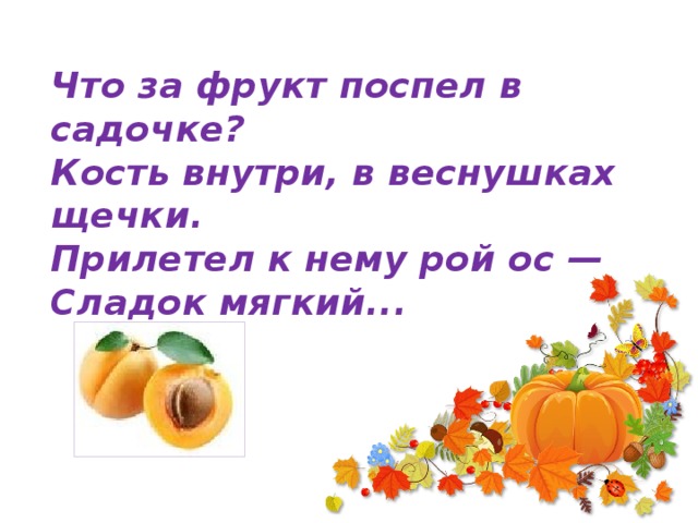 Что за фрукт поспел в садочке?  Кость внутри, в веснушках щечки.  Прилетел к нему рой ос —  Сладок мягкий...