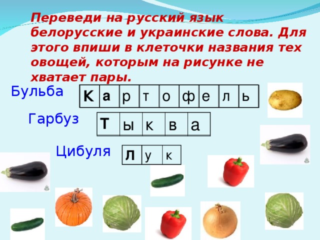 Переведи на русский язык белорусские и украинские слова. Для этого впиши в клеточки названия тех овощей, которым на рисунке не хватает пары. Бульба  а р т о ф е л ь К Гарбуз Т  ы к в а Цибуля Л у к