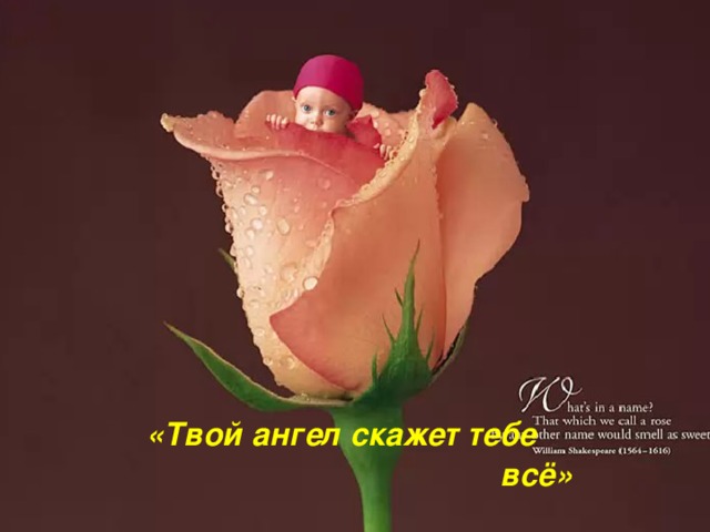 «Твой ангел скажет тебе  всё»