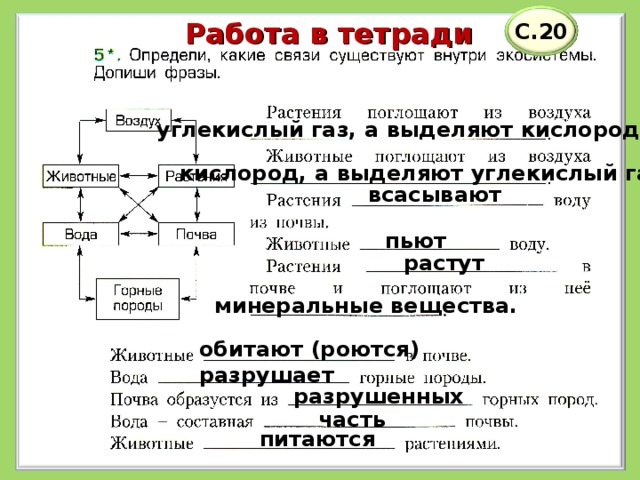 Работа в тетради С.20 углекислый газ, а выделяют кислород.  кислород, а выделяют углекислый газ.  всасывают  пьют  растут  минеральные вещества.  обитают (роются)  разрушает  разрушенных  часть  питаются