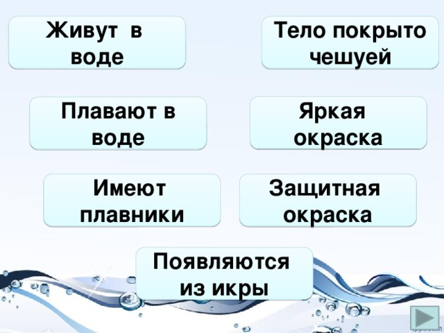 Живут в воде Тело покрыто чешуей Яркая окраска Плавают в воде Имеют плавники Защитная окраска Появляются из икры