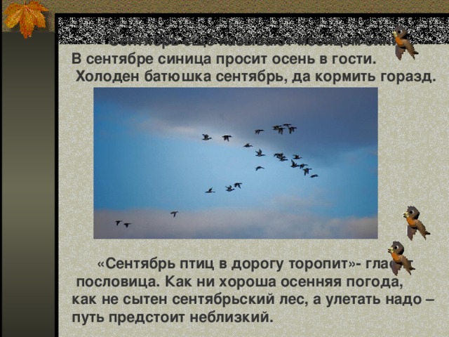 Сентябрь ещё называют месяцем синиц. В сентябре синица просит осень в гости.  Холоден батюшка сентябрь, да кормить горазд.  «Сентябрь птиц в дорогу торопит»- гласит  пословица. Как ни хороша осенняя погода, как не сытен сентябрьский лес, а улетать надо – путь предстоит неблизкий.