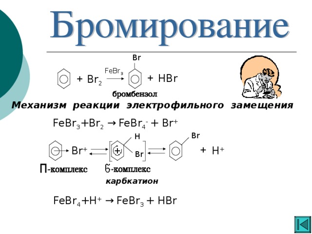 Br FeBr 3 HBr Br 2 + + Механизм реакции  электрофильного замещения FeBr 3 +Br 2  →  FeBr 4 - + Br +  Br H Br + H + + + Br карбкатион FeBr 4 +H +  →  FeBr 3  + HBr