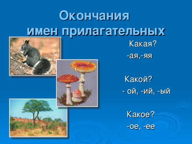 Окончания  имен прилагательных    Какая?  -ая,-яя  Какой?  - ой, -ий, -ый  Какое?  -ое, -ее