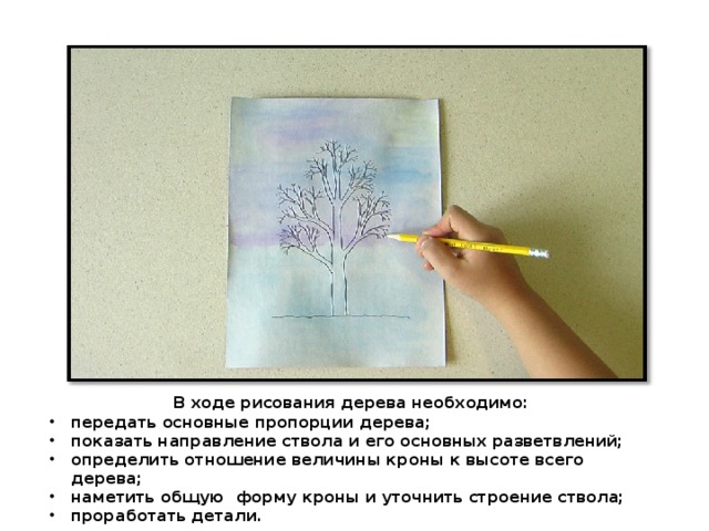 В ходе рисования дерева необходимо: