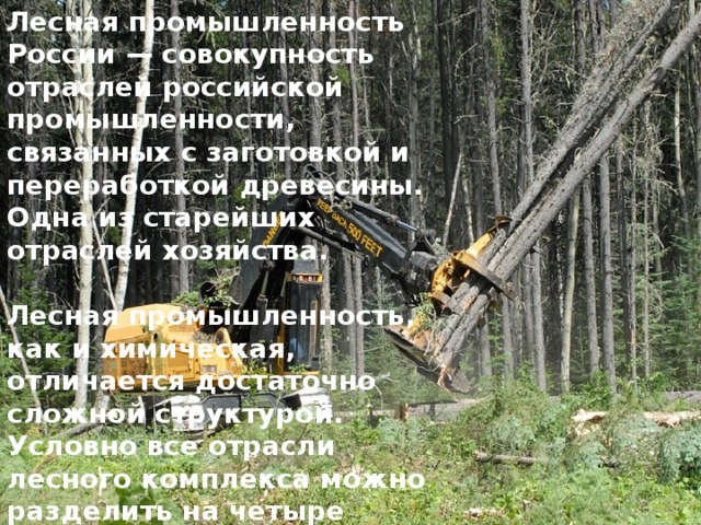 Лесная промышленность России — совокупность отраслей российской промышленности, связанных с заготовкой и переработкой древесины. Одна из старейших отраслей хозяйства.  Лесная промышленность, как и химическая, отличается достаточно сложной структурой. Условно все отрасли лесного комплекса можно разделить на четыре группы: