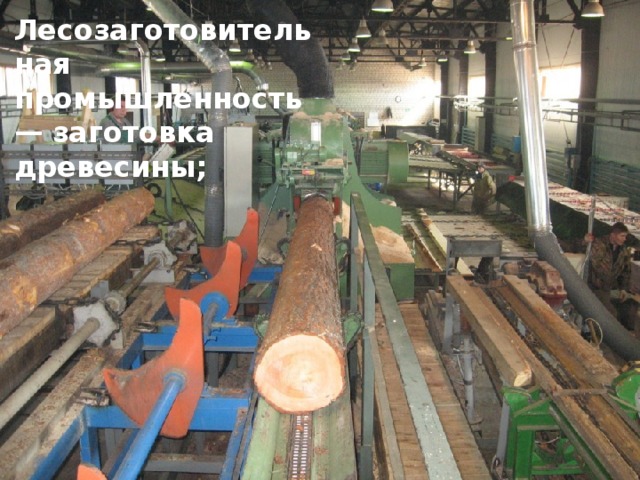 Лесозаготовительная промышленность — заготовка древесины;