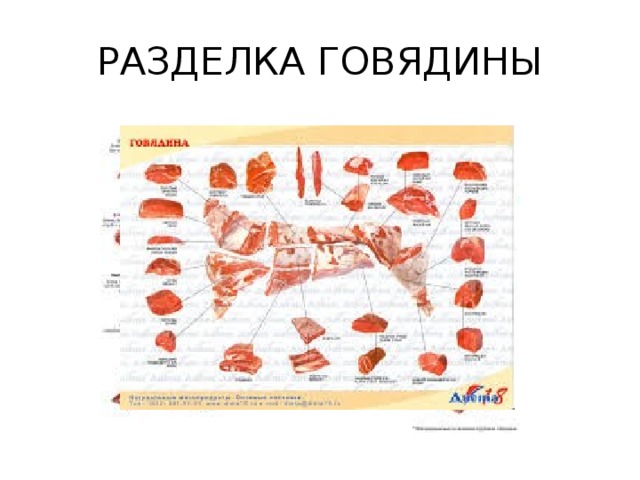 РАЗДЕЛКА ГОВЯДИНЫ