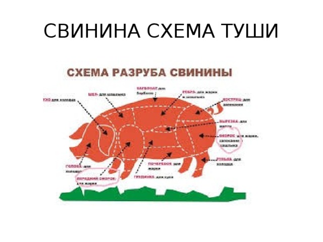 Туша свинины схема разделки