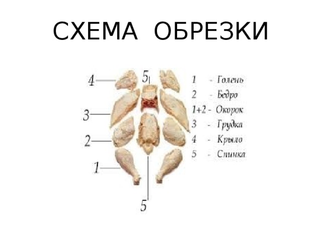 Птица и субпродукты куриные, индюшиные