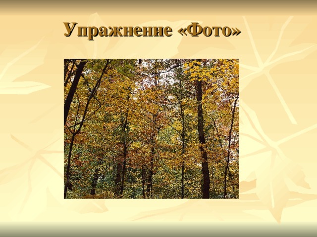 Бунин листопад 4. Бунин листопад урок. Бунин листопад презентация. Картина Ивана Алексеевича Бунина листопад. Листопад Бунин начальная школа.