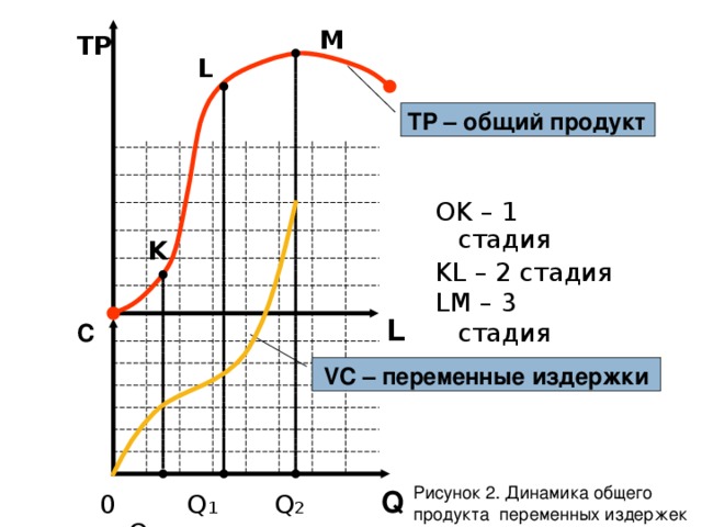 M T Р L TP – общий продукт OK – 1 стадия KL – 2 стадия LM – 3 стадия K L  С  VC – переменные издержки Рисунок 2. Динамика общего продукта переменных издержек Q  0  Q 1 Q 2  Q 3