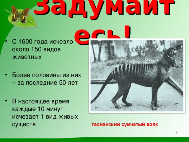 В каком году исчезли. Животные исчезнувшие по вине человека в России. Сколько видов животных исчезло за последние 10 лет. Вымершие животные с 1600 года. Животные вымершие по вине человека за последние 50 лет.