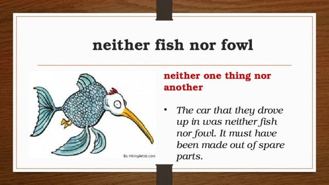 neither fish nor fowl neither one thing nor another