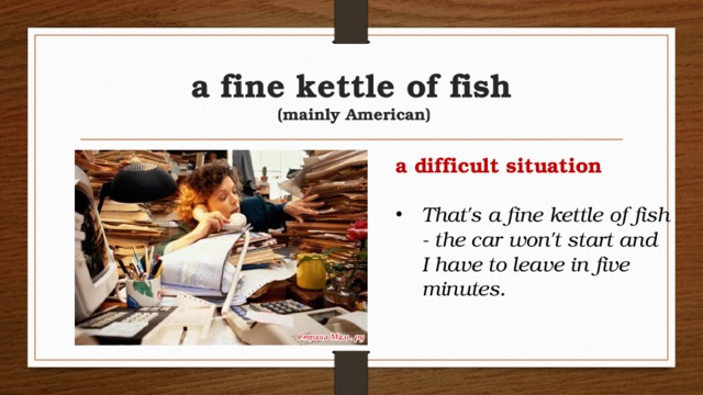 a fine kettle of fish  (mainly American) a difficult situation