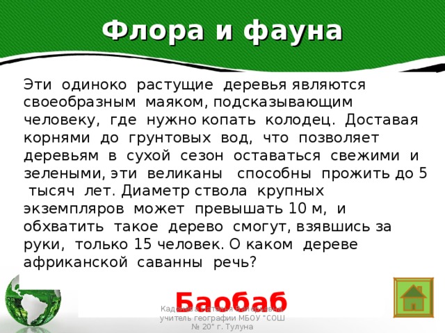 Флора и фауна Эти одиноко растущие деревья являются своеобразным маяком, подсказывающим человеку, где нужно копать колодец. Доставая корнями до грунтовых вод, что позволяет деревьям в сухой сезон оставаться свежими и зелеными, эти великаны способны прожить до 5 тысяч лет. Диаметр ствола крупных экземпляров может превышать 10 м, и обхватить такое дерево смогут, взявшись за руки, только 15 человек. О каком дереве африканской саванны речь? Text in here 2005 2006 2007 2008 Баобаб Каденёва Наталья Валерьевна, учитель географии МБОУ 